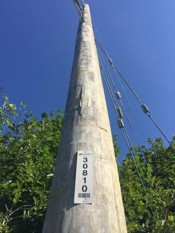Pole-number-1